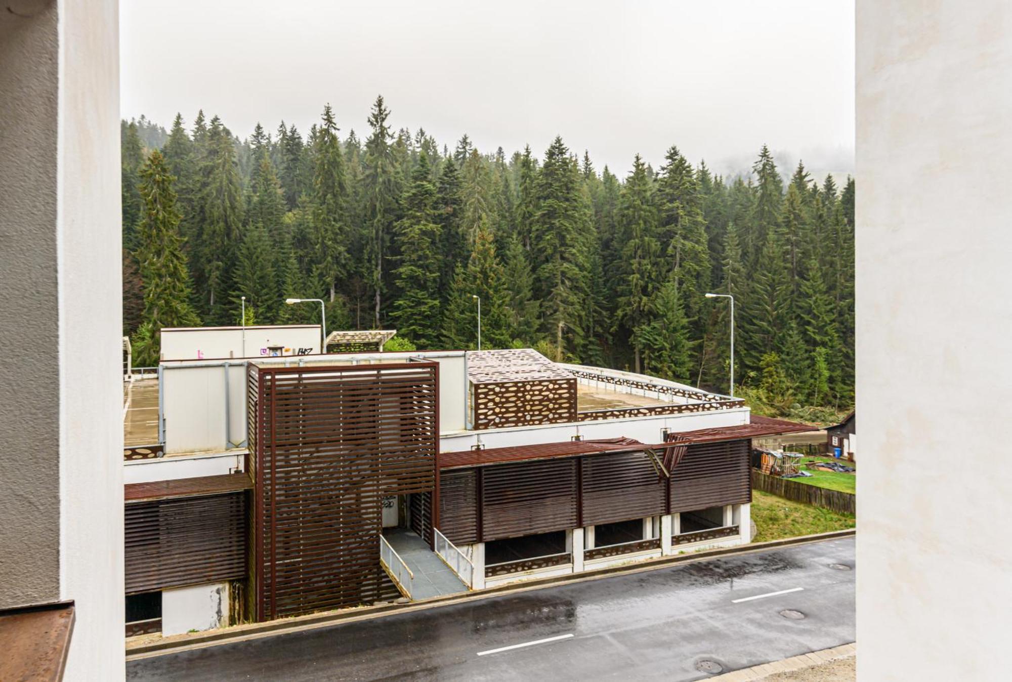 Alpin Clabucet Studio Predeal Exterior photo